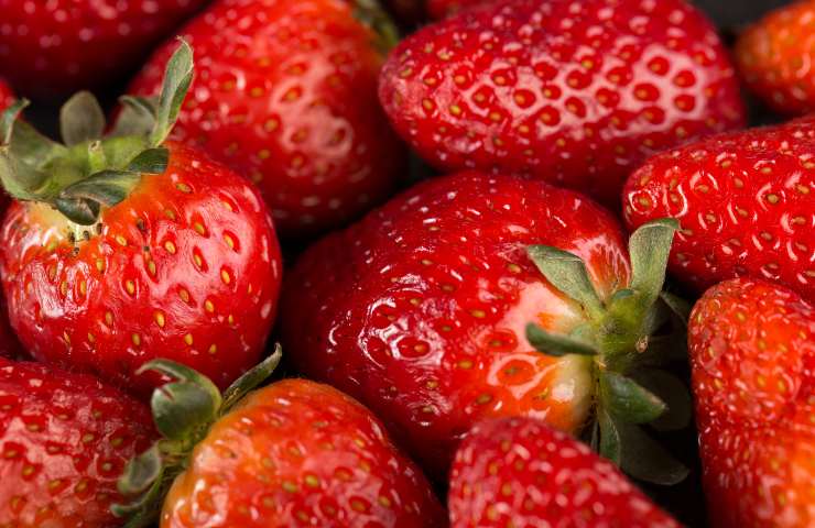 Fragole
