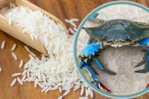 riso crudo e nel cerchio un granchio blu
