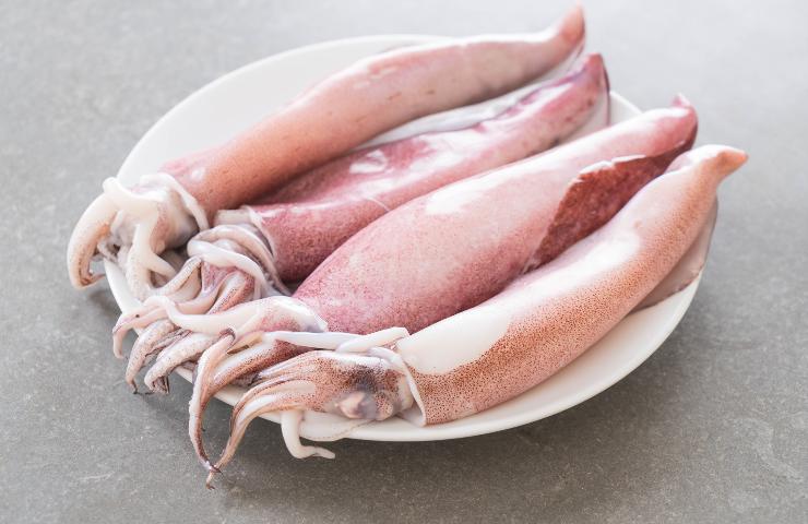 Calamari crudi