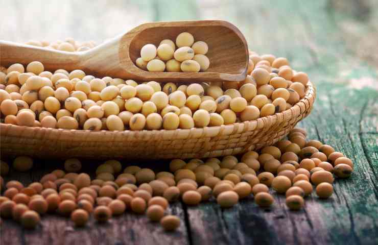 fagioli dolci bianchi