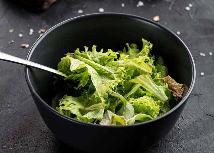 insalata