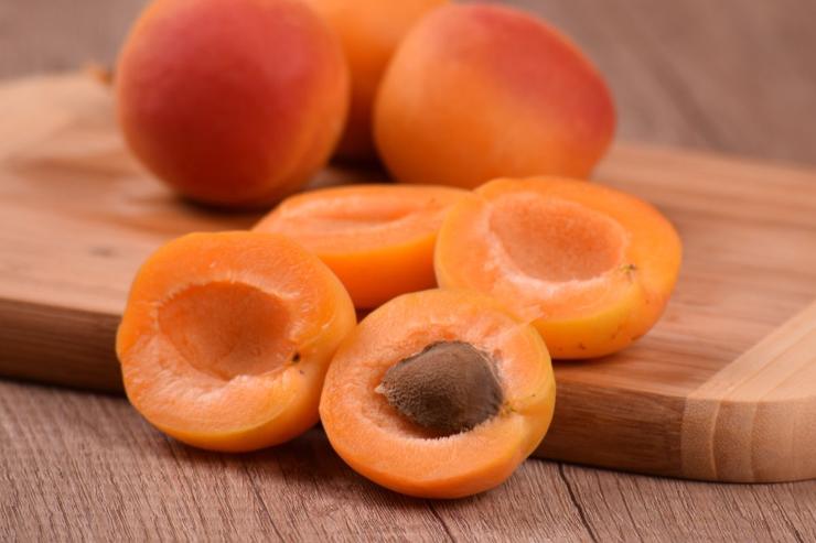 panna cotta alle albicocche