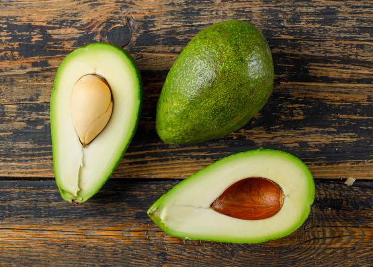 Avocado