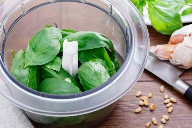 Pesto di fiori di zucca