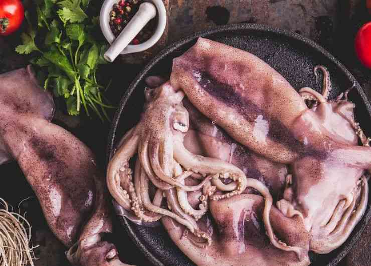 Calamari