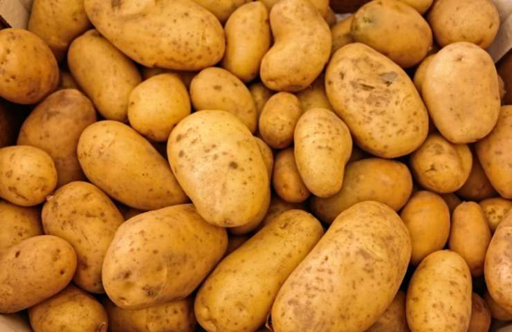 Patate