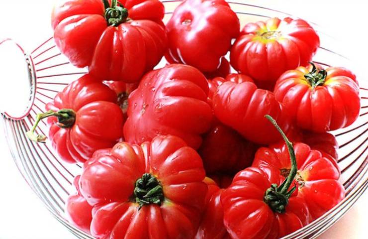 Pomodori tondi