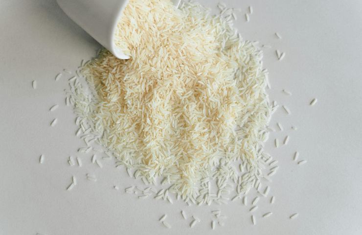 Riso bianco