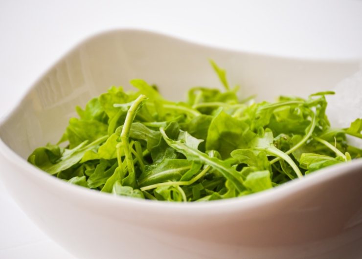Rucola