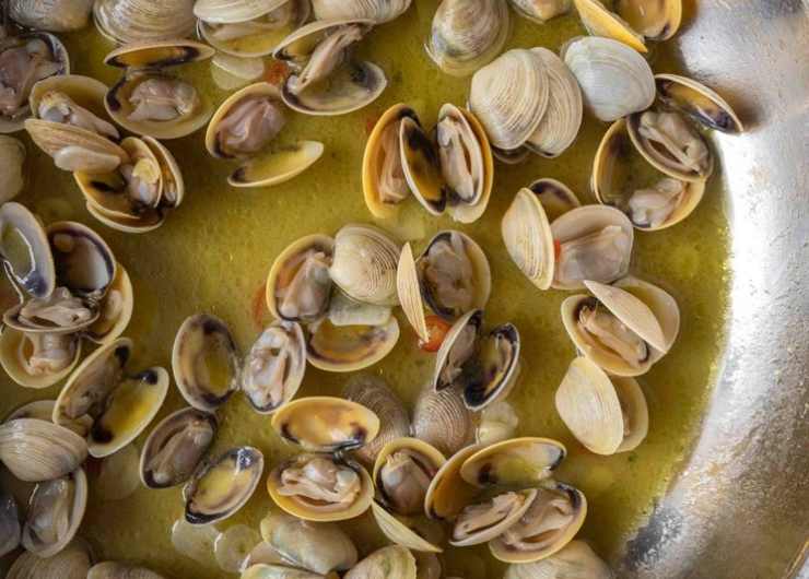 Sugo di vongole
