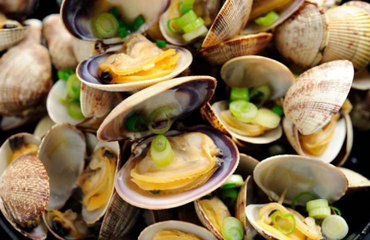 vongole