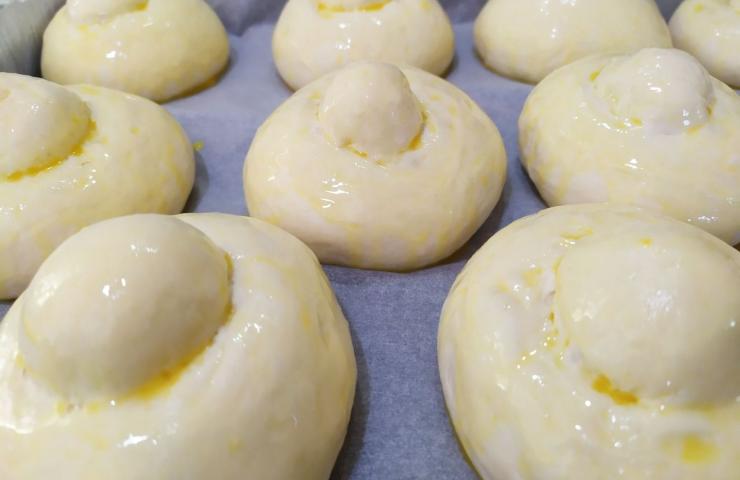 brioches crude