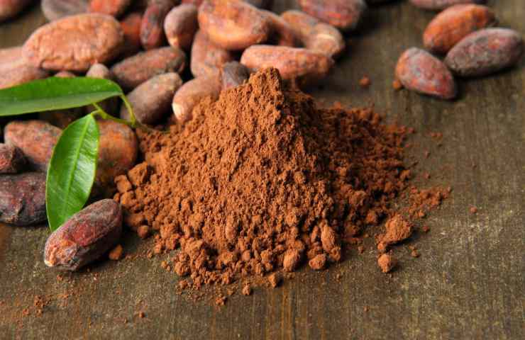 cacao in polvere