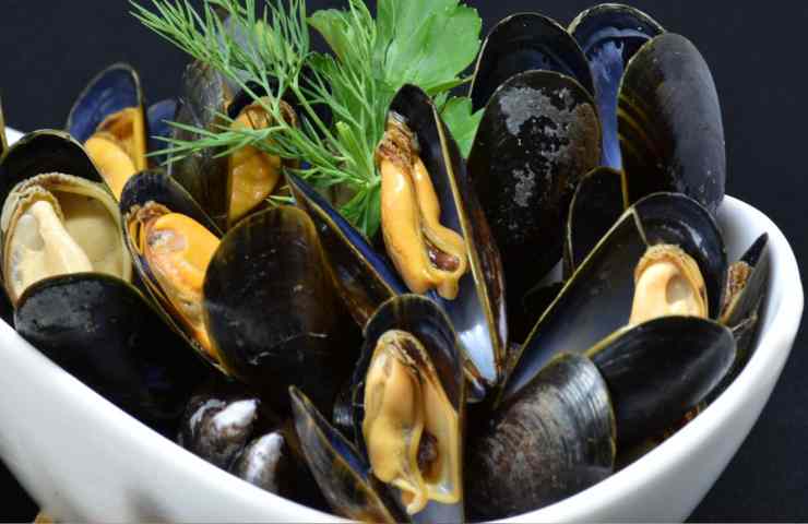 cozze