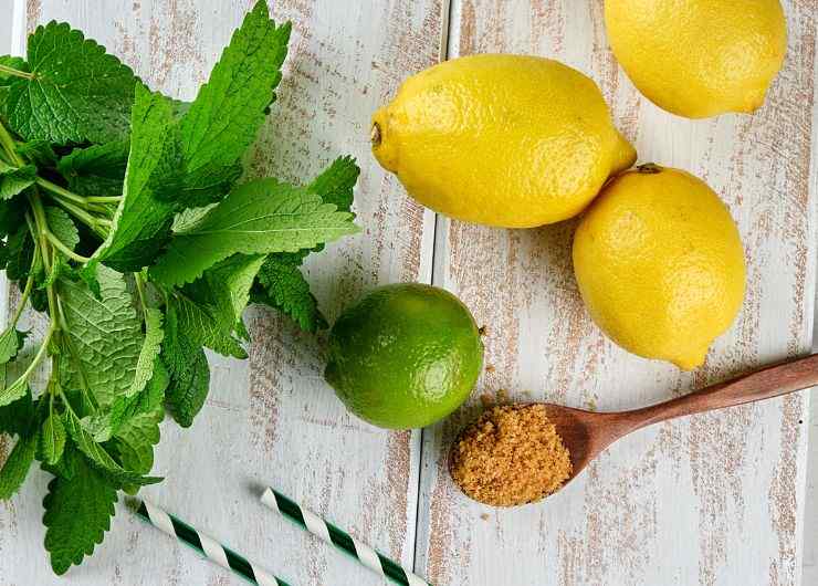 lime, limoni, menta, zucchero di canna