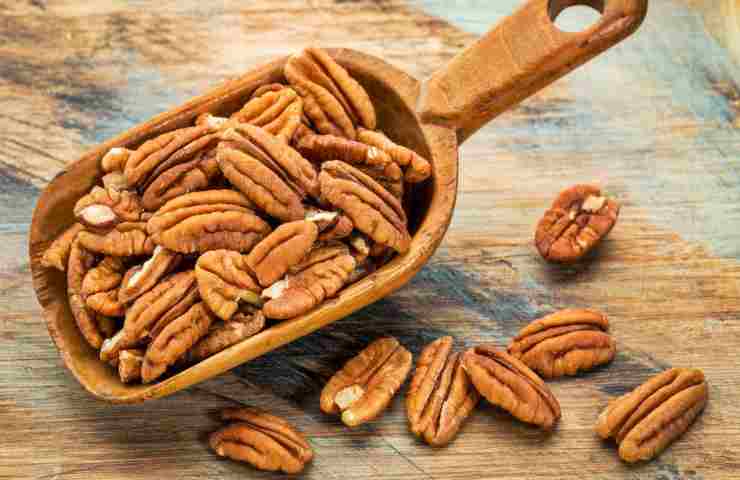 noci pecan