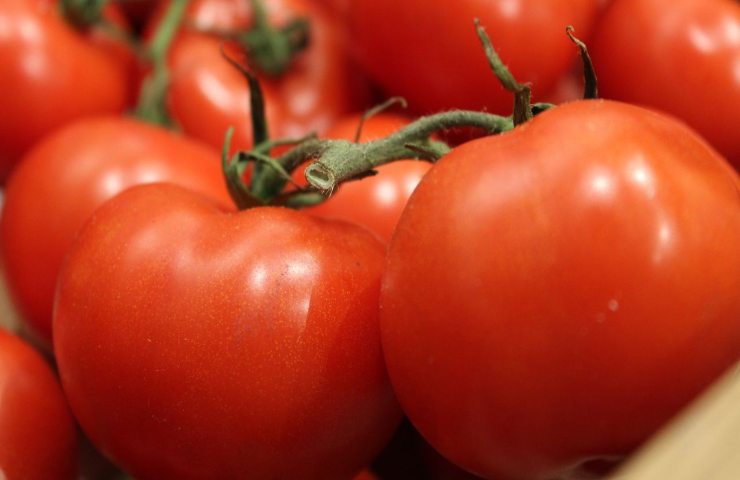 pomodori ramati