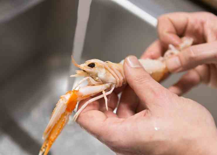 risotto con i gamberi