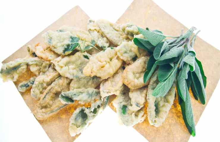 salvia fritta
