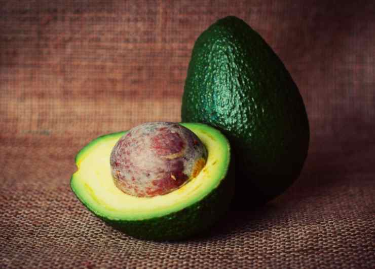 Avocado