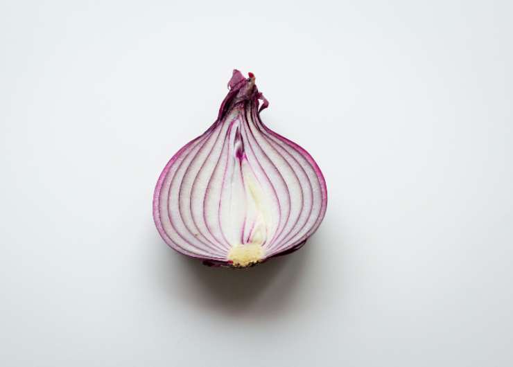 Cipolla viola