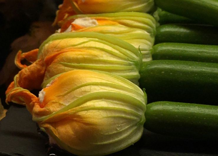 Fiori di zucchini