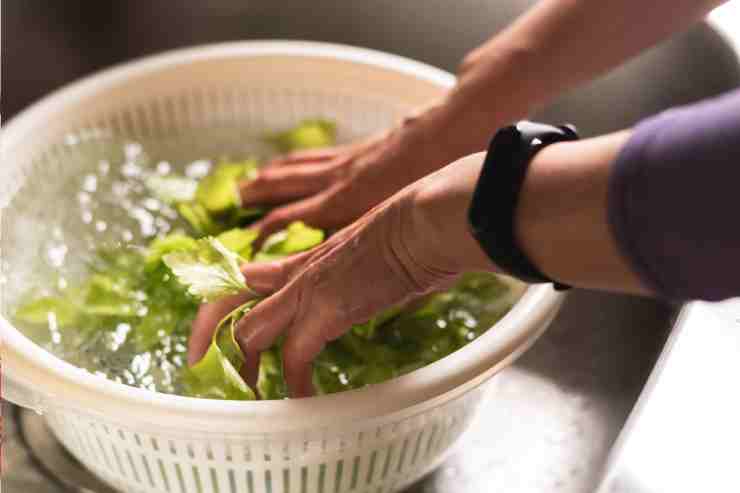 Insalata con salmone e ricotta