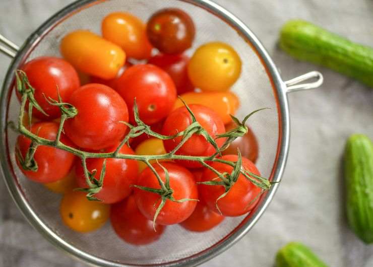 Pomodorini 