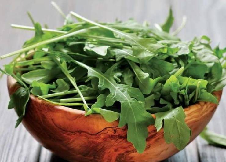 rucola