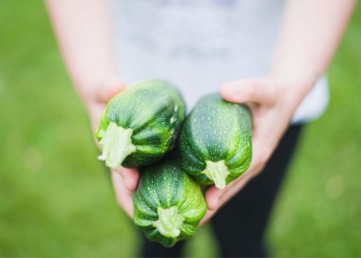 Zucchine