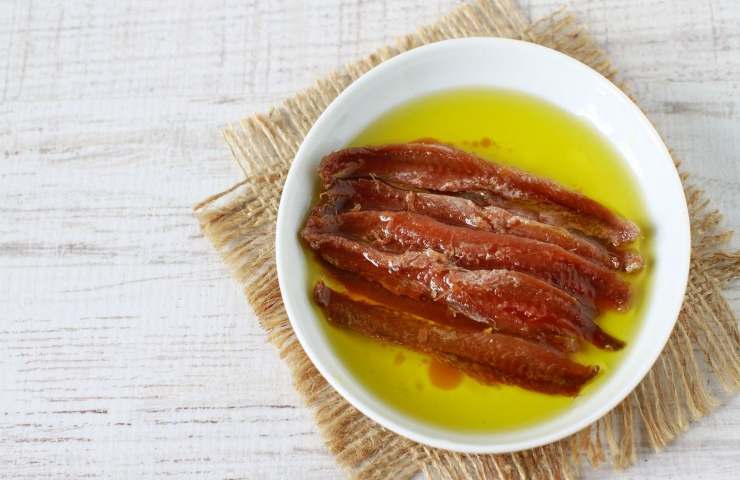 acciughe