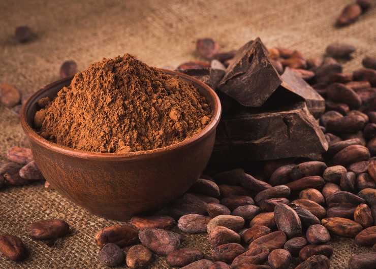 cacao e cioccolato
