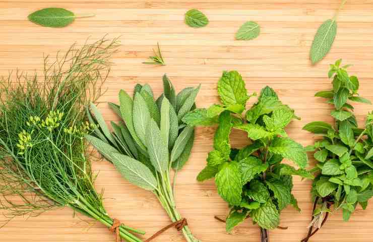 Erbe aromatiche 