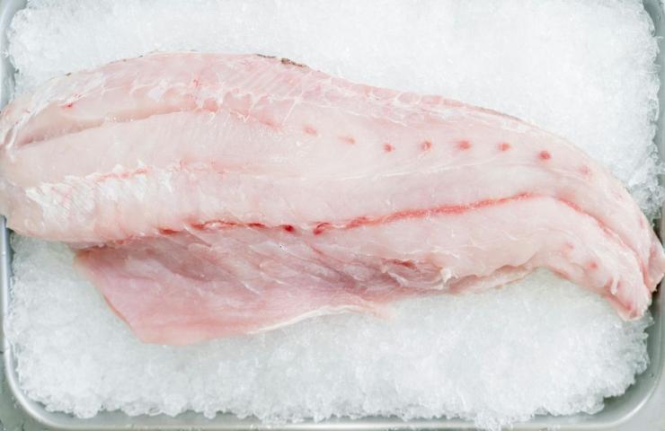 filetti di orata