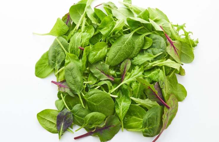 spinaci